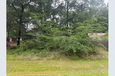 125 Trinidad Lane, Point Blank, TX 77364 - Photo 1