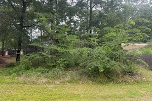 125 Trinidad Ln, Point Blank, TX 77364 - Photo 1