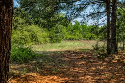 7266 County Road 449, Marquez, TX 77865 - Photo 25