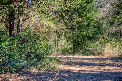 7266 County Road 449, Marquez, TX 77865 - Photo 5