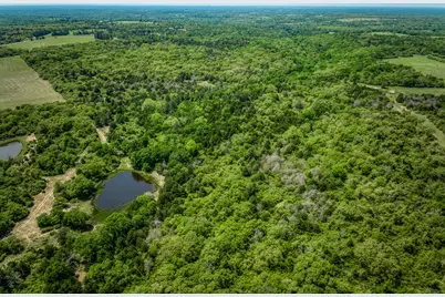 7266 County Road 449, Marquez, TX 77865 - Photo 33