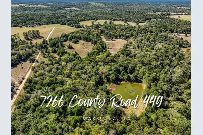 7266 County Road 449, Marquez, TX 77865 - Photo 1