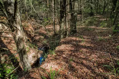 7266 County Road 449, Marquez, TX 77865 - Photo 9