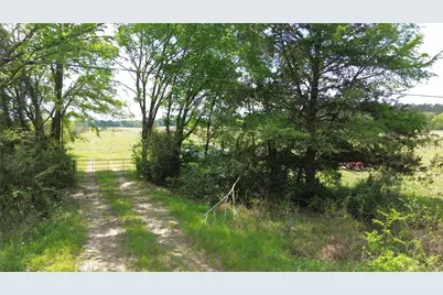 968 Cr 3490, Lovelady, TX 75851 - Photo 5