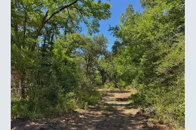 Tbd Pr 1440, Centerville, TX 75833 - Photo 17