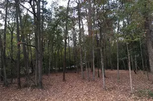 1930 Autumn Ridge Dr Dr, Conroe, TX 77304 - Photo 3