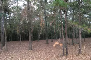 1930 Autumn Ridge Dr Dr, Conroe, TX 77304 - Photo 5