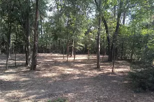 1930 Autumn Ridge Dr Dr, Conroe, TX 77304 - Photo 1