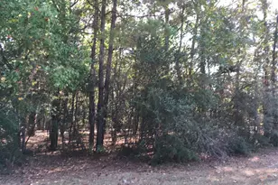 1930 Autumn Ridge Dr Dr, Conroe, TX 77304 - Photo 7