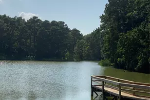 51 Harbour Row Dr, Coldspring, TX 77331 - Photo 29