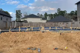 15126 Bank Swallow Pl, Magnolia, TX 77354 - Photo 11