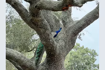 1518 County Road 307, El Campo, TX 77437 - Photo 35