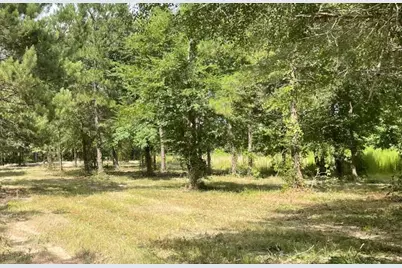 502 County Road 3408, Cleveland, TX 77327 - Photo 3