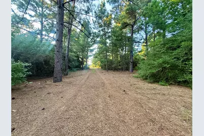 3458 Private Road 1425, Centerville, TX 75833 - Photo 31