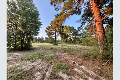 3458 Private Road 1425, Centerville, TX 75833 - Photo 43
