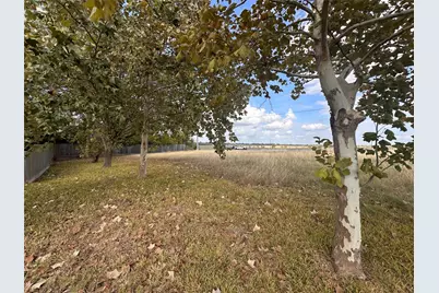 1809 Neal Street, Navasota, TX 77868 - Photo 3