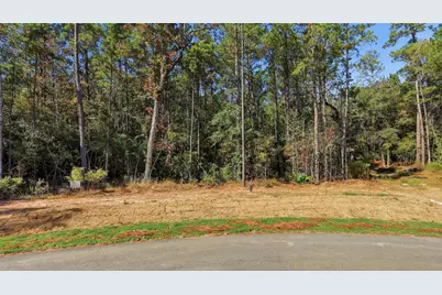 25219 Chisos Bend, Montgomery, TX 77316 - Photo 3