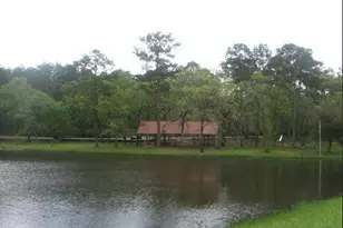 Tbd Cimmaron Dr, Stagecoach, TX 77355 - Photo 3