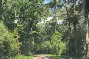 Tbd Cimmaron Dr, Stagecoach, TX 77355 - Photo 1