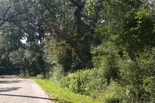 Tbd Cimmaron Dr, Stagecoach, TX 77355 - Photo 7