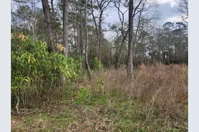 14709 Bimbo Lane, Conroe, TX 77302 - Photo 3