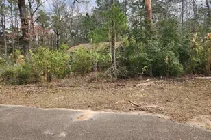 14709 Bimbo Ln, Conroe, TX 77302 - Photo 9