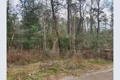 14709 Bimbo Lane, Conroe, TX 77302 - Photo 15