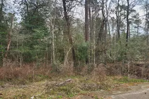 14709 Bimbo Ln, Conroe, TX 77302 - Photo 15