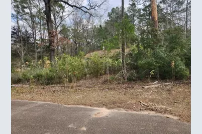 14709 Bimbo Lane, Conroe, TX 77302 - Photo 7