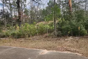 14709 Bimbo Ln, Conroe, TX 77302 - Photo 7