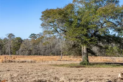 Tbd Lakeland, Hillister, TX 77624 - Photo 9