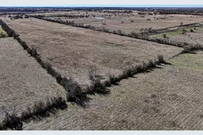 60 Acres Hwy 30 W, Shiro, TX 77876 - Photo 3