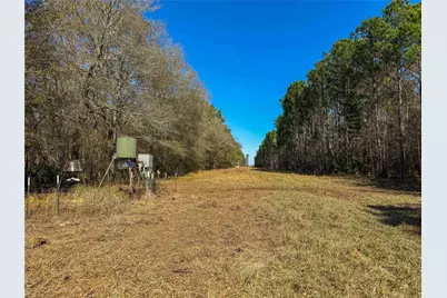 0000 Hwy 61, Devers, TX 77538 - Photo 15