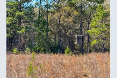 0000 Hwy 61, Devers, TX 77538 - Photo 11