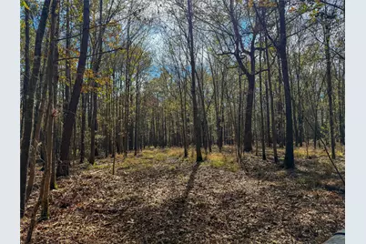 0000 Hwy 61, Devers, TX 77538 - Photo 17