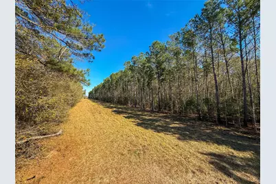 0000 Hwy 61, Devers, TX 77538 - Photo 13