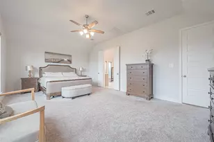 29042 Hauter Wy, Fulshear, TX 77441 - Photo 41