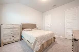 29042 Hauter Wy, Fulshear, TX 77441 - Photo 25