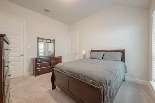 29042 Hauter Wy, Fulshear, TX 77441 - Photo 23