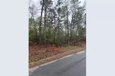 Lot 39, 40 & 41 S Lakeview Drive, Point Blank, TX 77364 - Photo 3