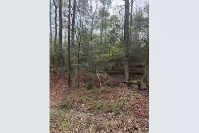 Lot 39, 40 & 41 S Lakeview Drive, Point Blank, TX 77364 - Photo 29