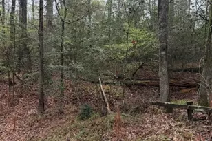 Lot 39 40 & 41 S Lakeview Dr, Point Blank, TX 77364 - Photo 29