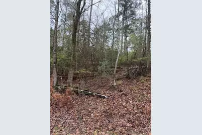 Lot 39, 40 & 41 S Lakeview Drive, Point Blank, TX 77364 - Photo 13