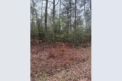 Lot 39, 40 & 41 S Lakeview Drive, Point Blank, TX 77364 - Photo 25