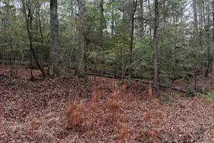 Lot 39 40 & 41 S Lakeview Dr, Point Blank, TX 77364 - Photo 25