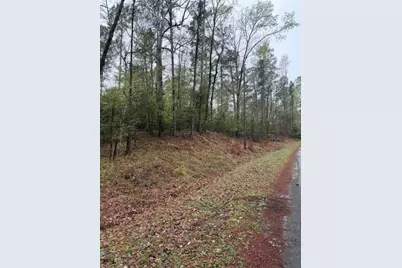 Lot 39, 40 & 41 S Lakeview Drive, Point Blank, TX 77364 - Photo 21