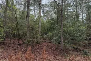 Lot 39 40 & 41 S Lakeview Dr, Point Blank, TX 77364 - Photo 17