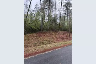 Lot 39, 40 & 41 S Lakeview Drive, Point Blank, TX 77364 - Photo 5