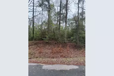 Lot 39, 40 & 41 S Lakeview Drive, Point Blank, TX 77364 - Photo 19