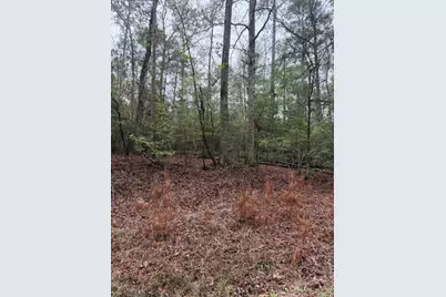 Lot 39, 40 & 41 S Lakeview Drive, Point Blank, TX 77364 - Photo 27